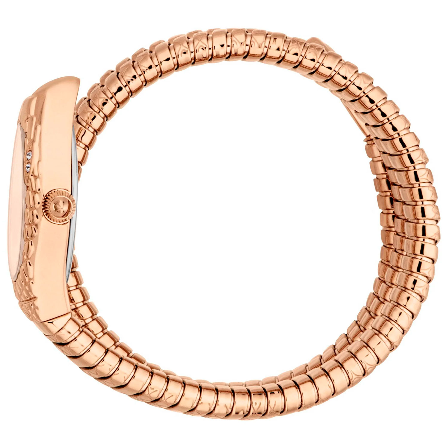 Just Cavalli JC1L374M0045
